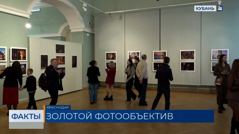 Итоги конкурса «Золотой фотообъектив Кубани-2025» подвели в Краснодаре
