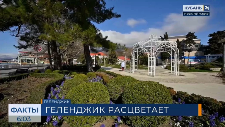 На озеленение Геленджика в 2026 году выделили 87 млн рублей