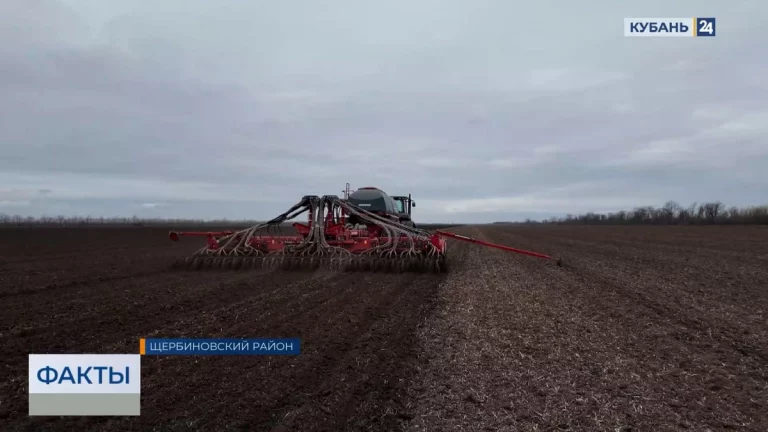 Посевная кампания стартовала в Краснодарском крае