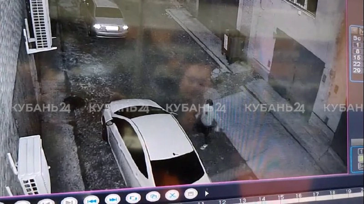 В Краснодаре задержали мужчину, повредившего 12 машин во дворе ЖК