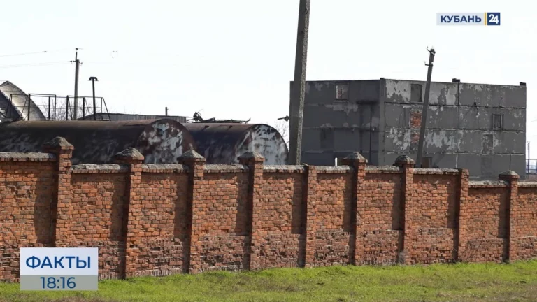 Эксперты выясняют причины пожара на консервном заводе в Красноармейском районе