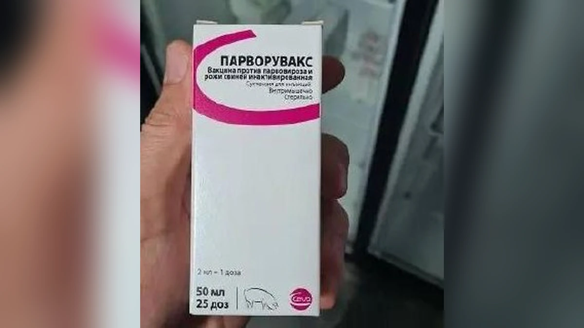 На Кубани выявили поставки контрафактных ветпрепаратов для сельхозживотных
