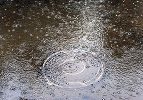 Дождь с мокрым снегом и ветер до 20 м/с ожидаются 21 февраля на Кубани