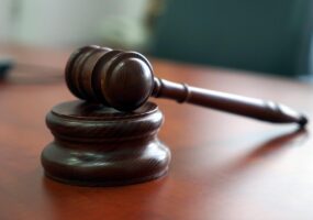 Реабилитационный центр в Анапе закрыли по решению суда