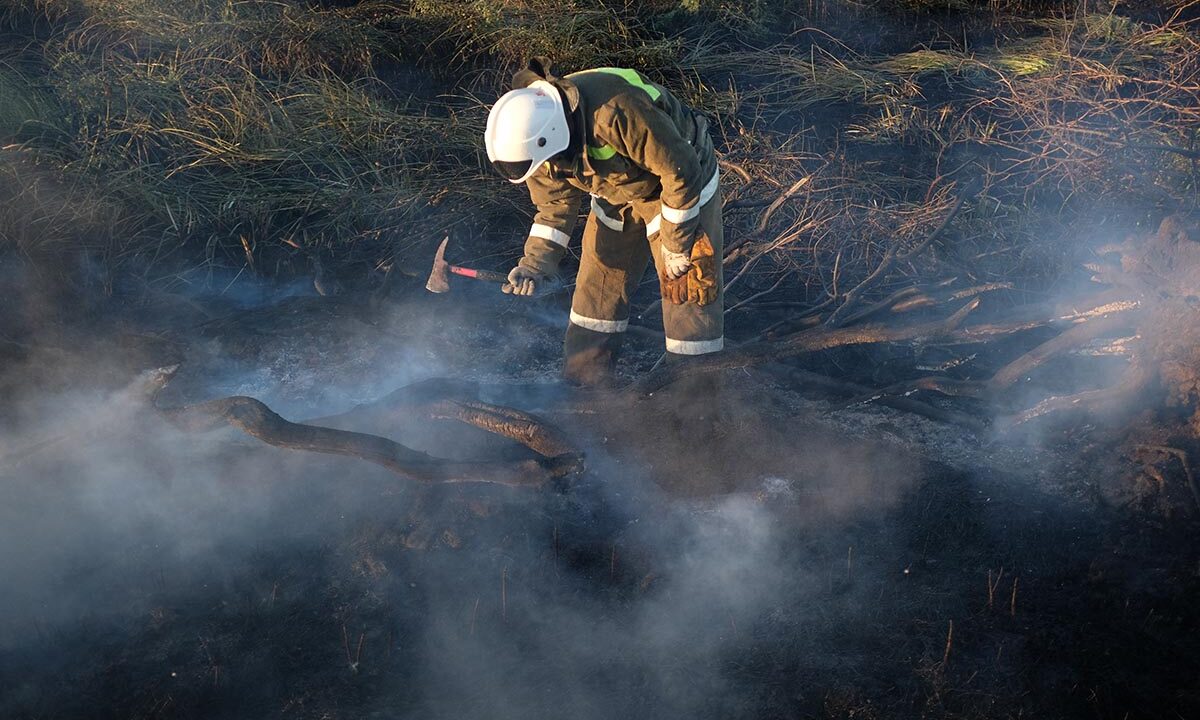 Пожар площадью 12 тыс. кв. метров разгорелся в лесу в Туапсинском округе