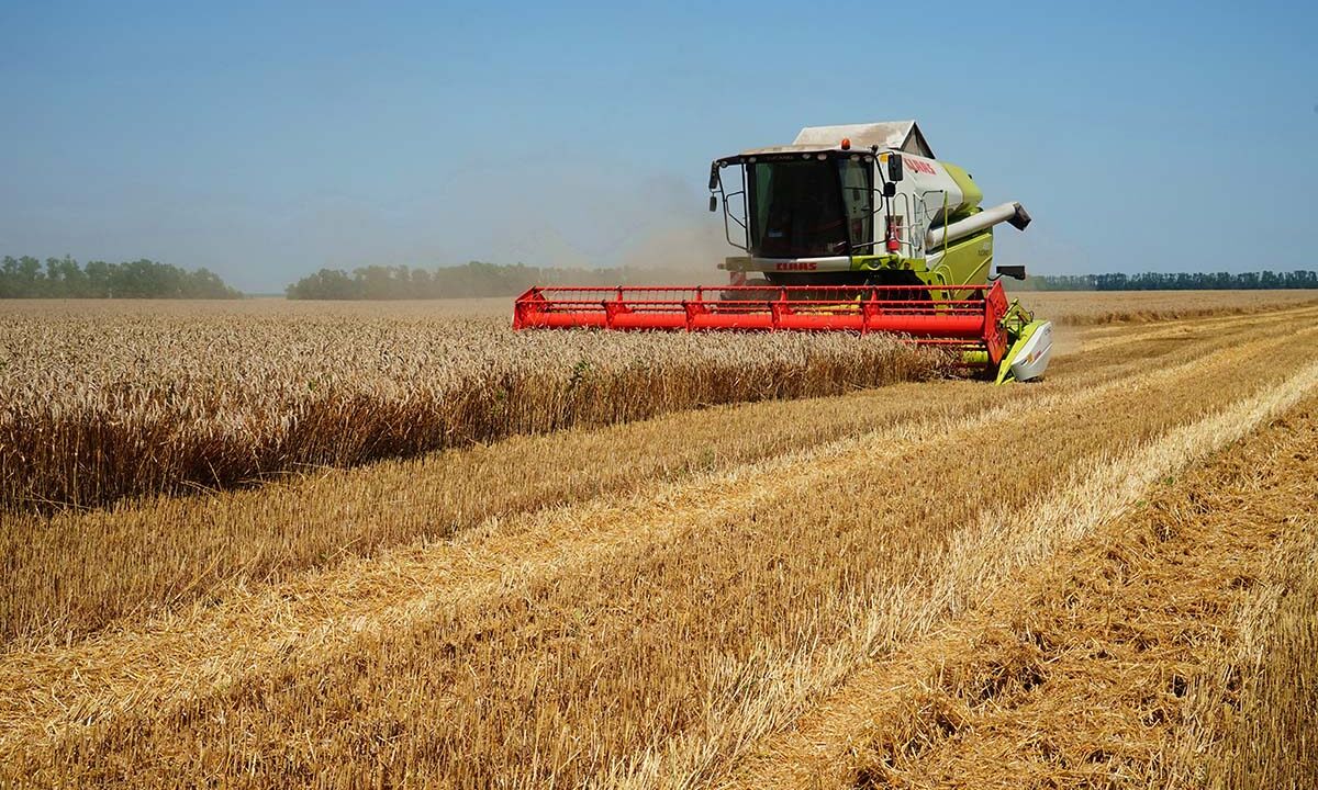 В 2026 году на развитие АПК в Краснодарском крае выделят 10,3 млрд рублей