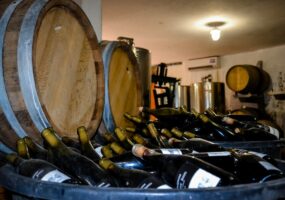 Производители Кубани заняли больше половины рейтинга лучших винных хозяйств РФ