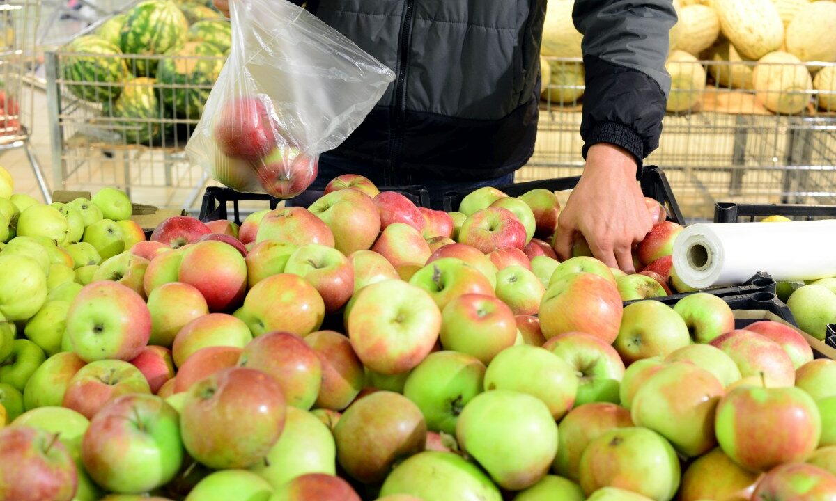 Урожай яблок на Кубани в 2025 году сократится на 15% из-за заморозков