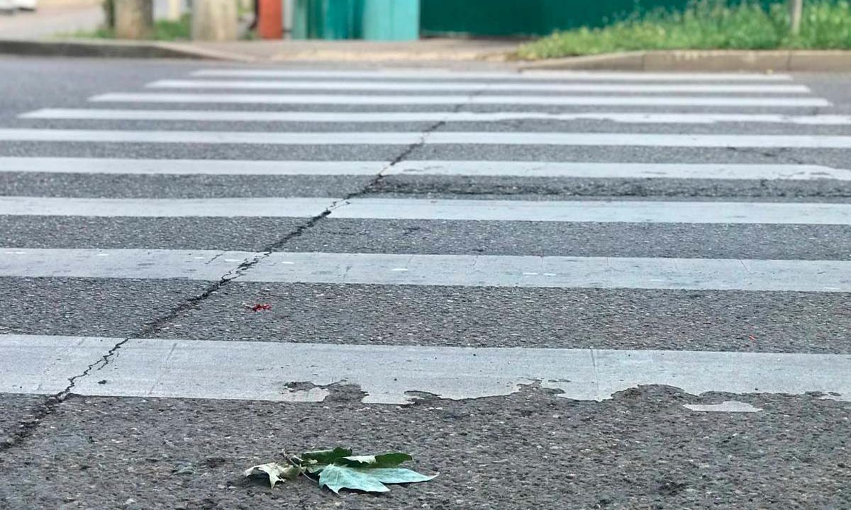 В России предложили отменять штрафы за нарушения ПДД из-за ямы на дороге