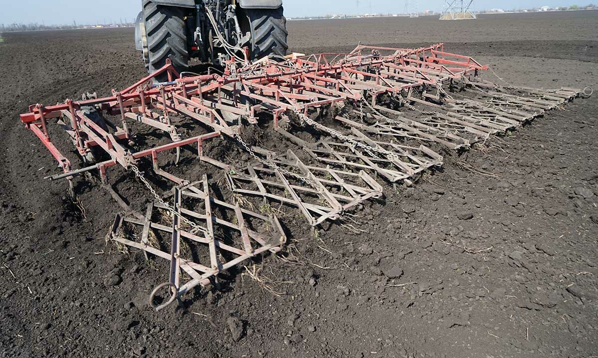 Земли закрытой игорной зоны «Азов-Сити» останутся в сельхозпользовании