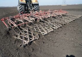 На Кубани яровыми культурами засеют 1,8 млн гектаров