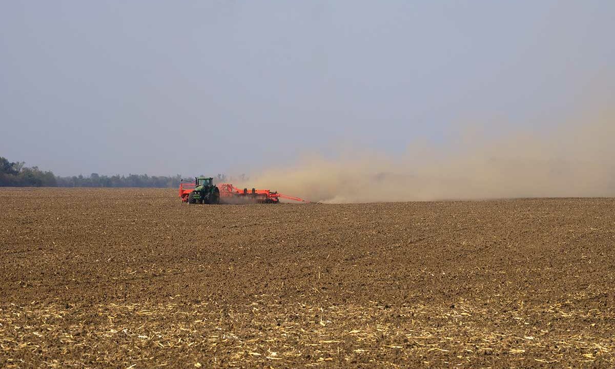 Юрист Моторин рассказал, как не стать жертвой обмана при покупке сельхозземель